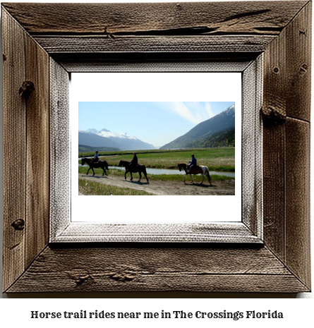 horse trail rides near me in The Crossings, Florida